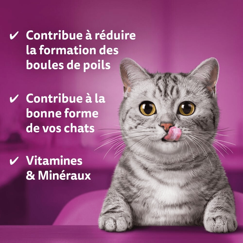 WHISKAS® Contrôle des Boules de Poils Friandises Pour Chat Adulte 50g - 3