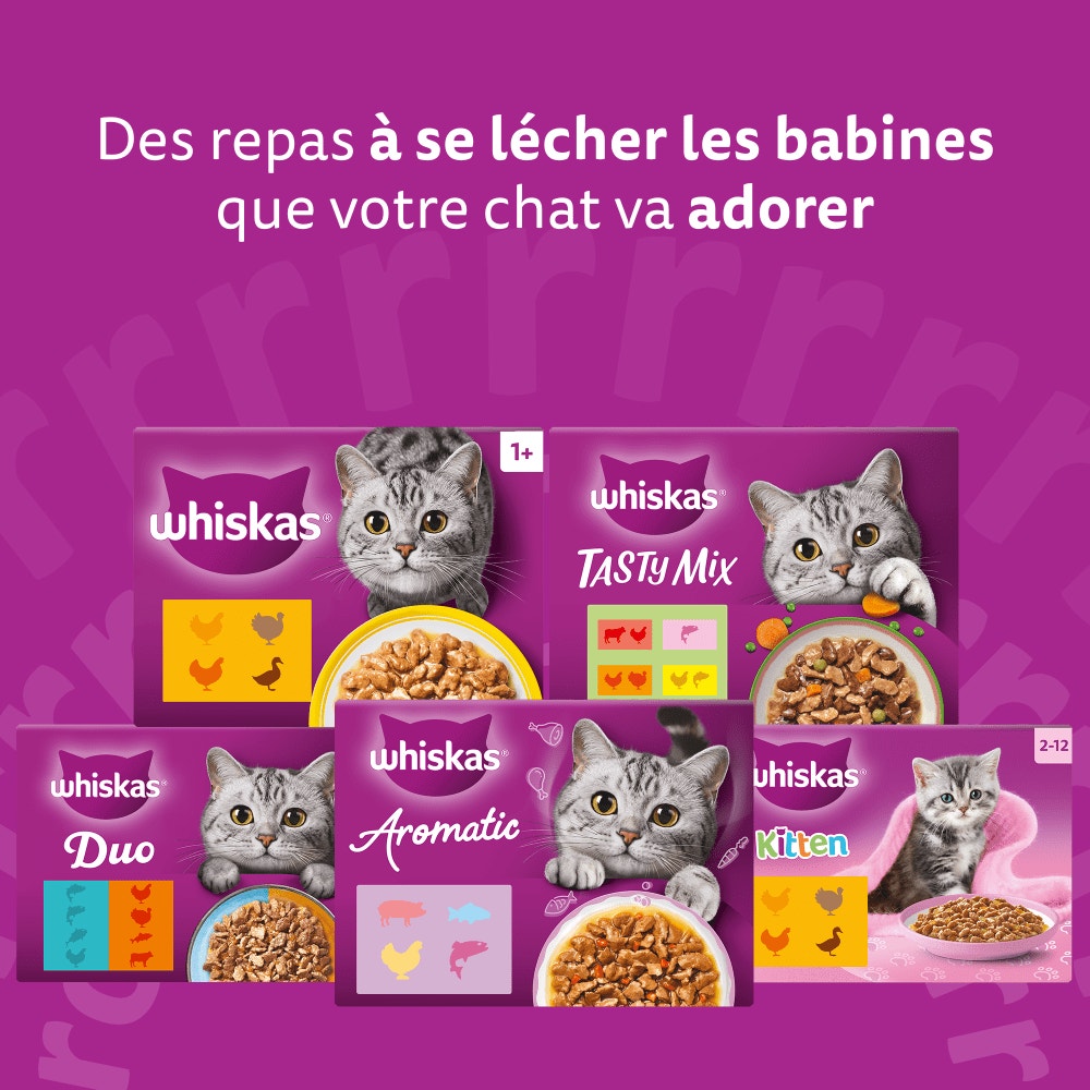 WHISKAS® Sachets Fraîcheur Les Festins À La Volaille En Sauce Pour Chat Senior 4 Variétés 12 x 85g - 7