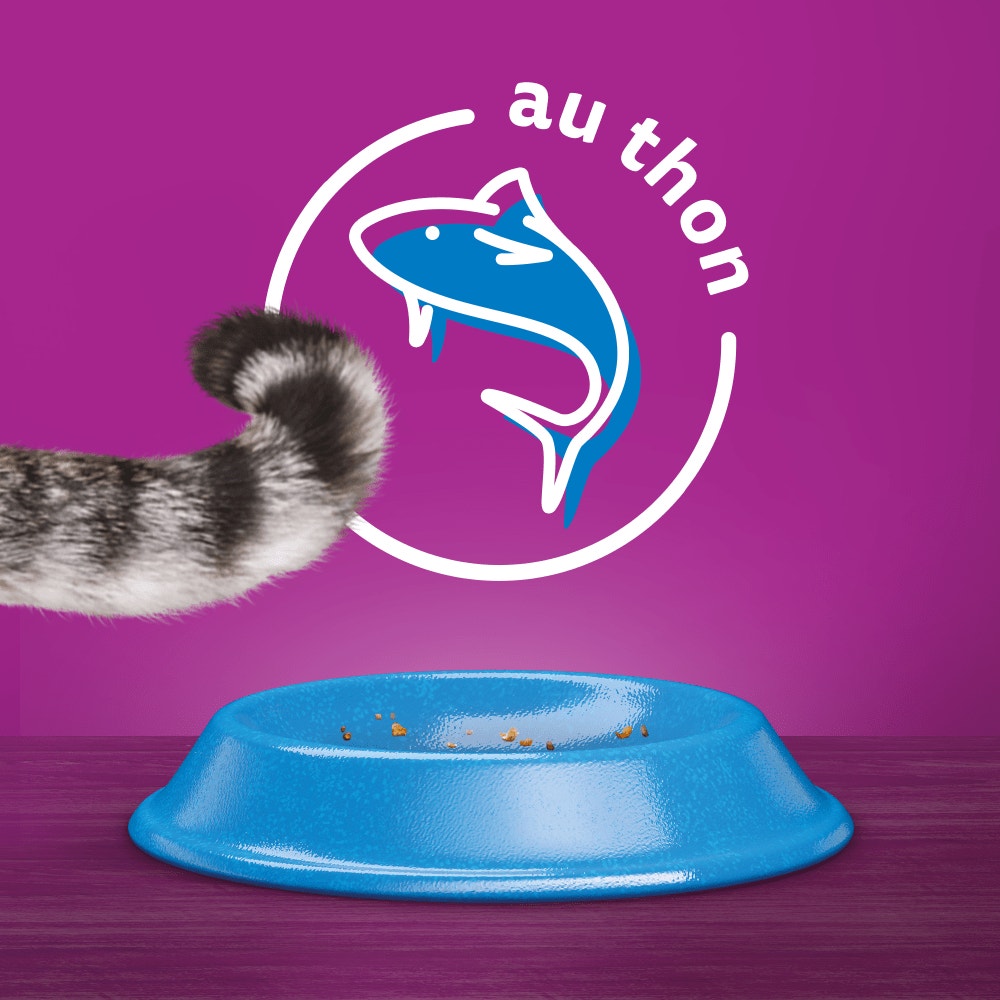 WHISKAS® Croquettes Au Thon Pour Chat Adulte 3,8kg - 7