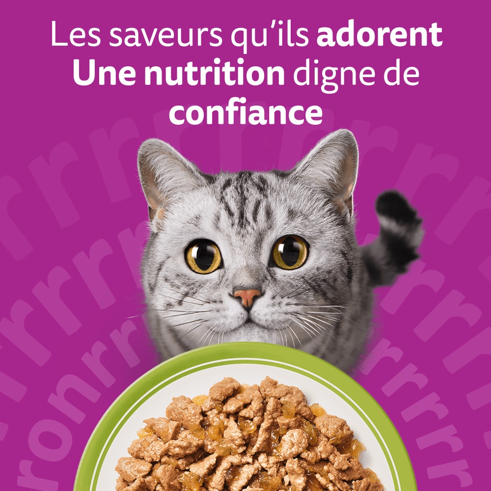 WHISKAS® Sachets Fraîcheur La Carte Mixte En Gelée Pour Chat Adulte 4 Variétés 12 & 48 x 85g - 6