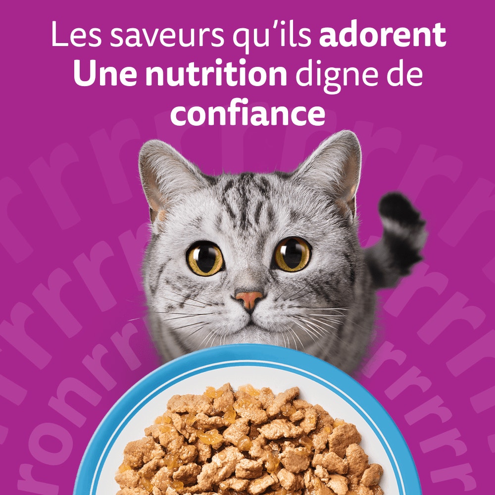 WHISKAS® Sachets Fraîcheur Les Poissons Favoris En Gelée Pour Chat Adulte 4 Variétés 12 & 24 x 85g - 6