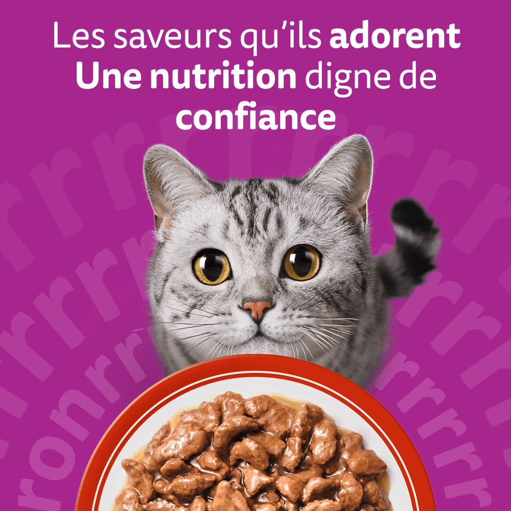 WHISKAS® Sachets Fraîcheur Les Repas Classiques En Sauce Pour Chat Adulte 4 Variétés 12 & 24 & 60 x 85g - 6