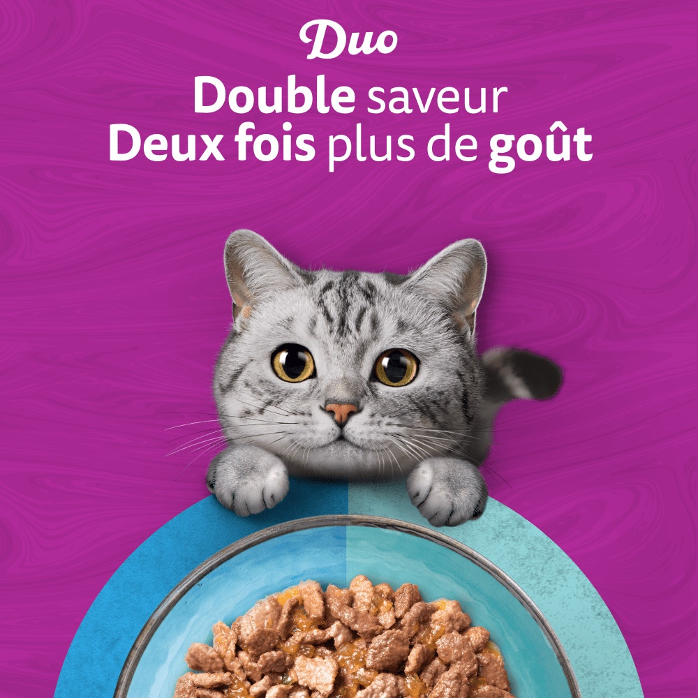 WHISKAS® Duo Sachets Fraîcheur Délices de l'Océan En Gelée Pour Chat Adulte 4 Variétés 12 x 85g - 6