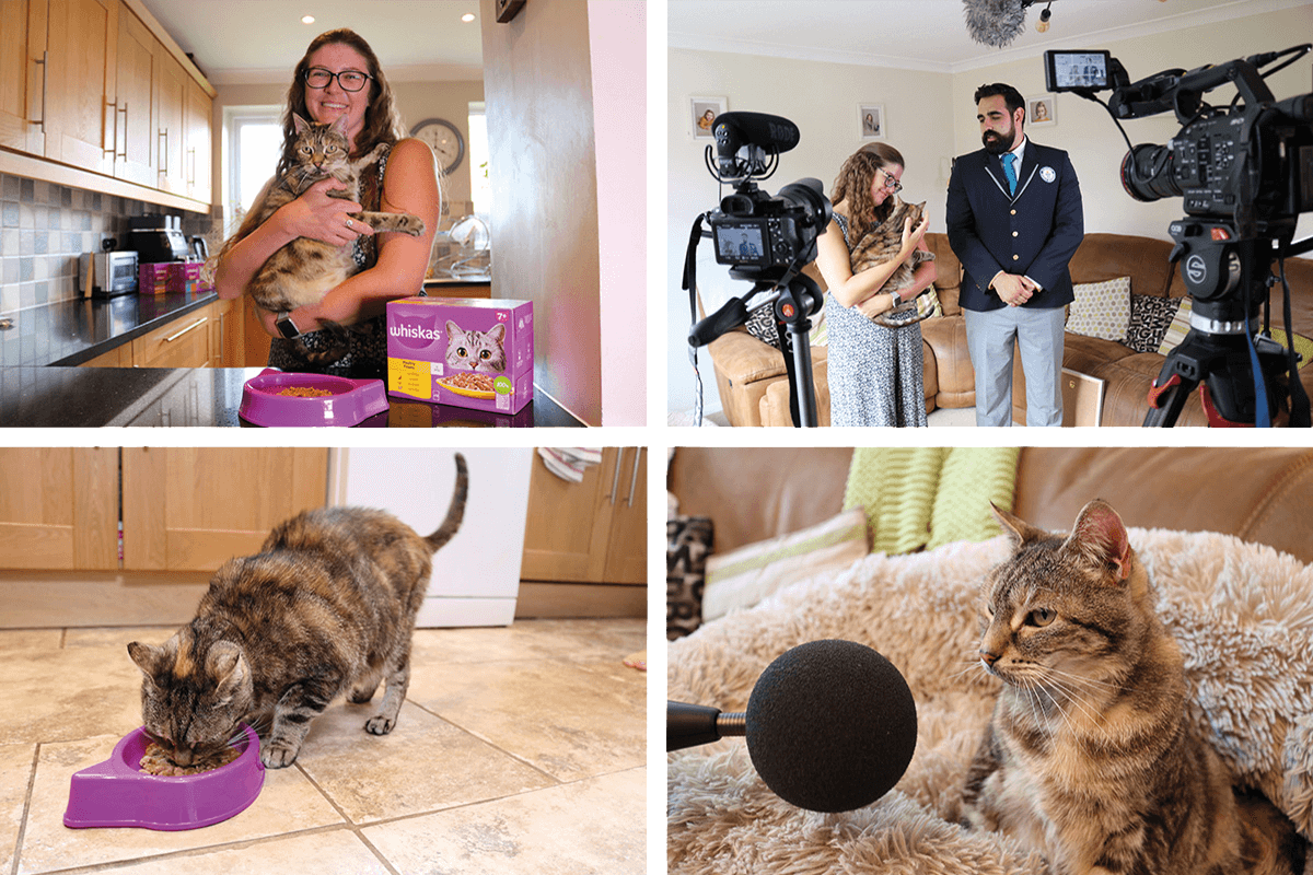 Offrez-lui une gamelle de WHISKAS® pour un beau ronronnement de joie.