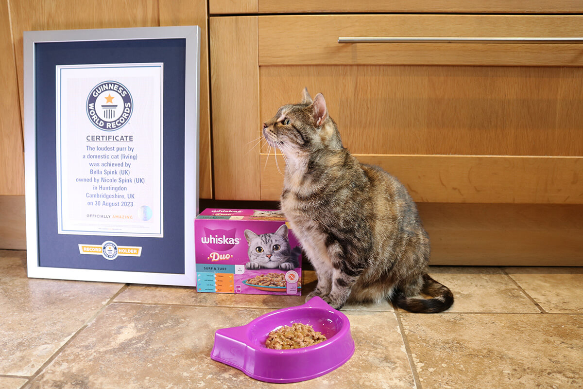 Bella est la nouvelle détentrice du record!